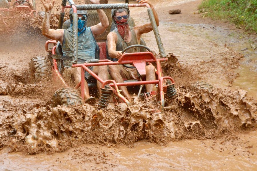 Buggies/ATV
